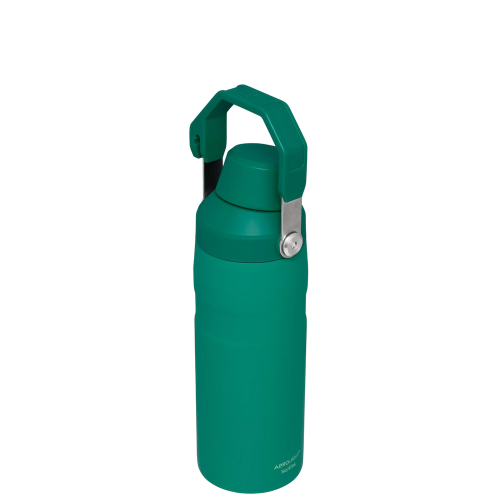 Stanley ICEFLOW™ BOTTLE WITH FAST FLOW LID | 16 OZ Alpine | 34578-VYBK