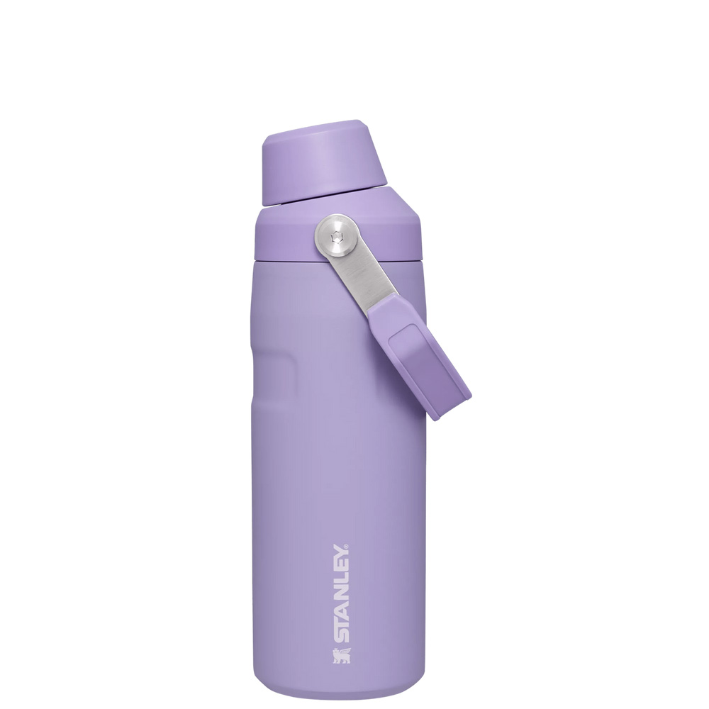 Stanley ICEFLOW™ BOTTLE WITH FAST FLOW LID | 16 OZ Lavender | 23570-JYZU