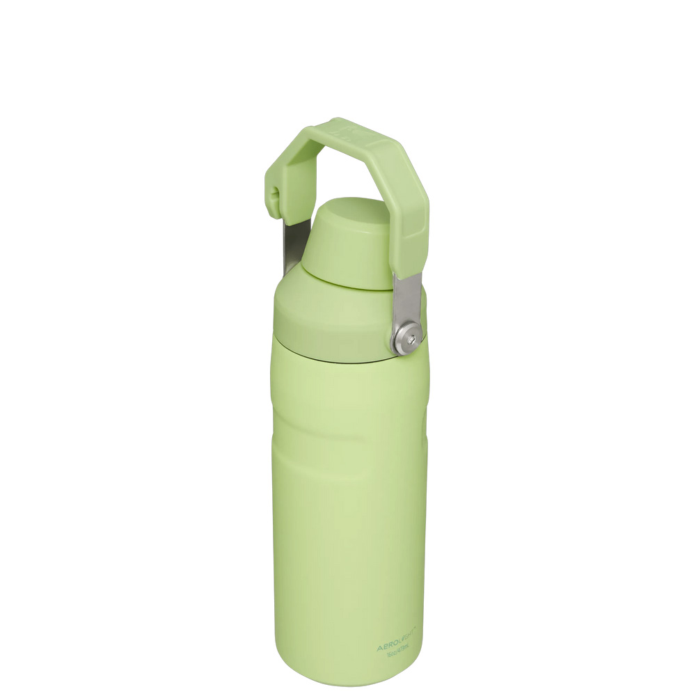 Stanley ICEFLOW™ BOTTLE WITH FAST FLOW LID | 16 OZ Citron | 32048-UCNZ