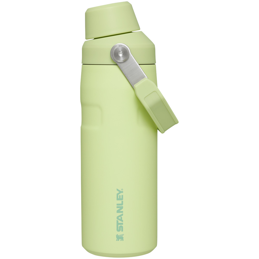 Stanley ICEFLOW™ BOTTLE WITH FAST FLOW LID | 16 OZ Citron | 32048-UCNZ