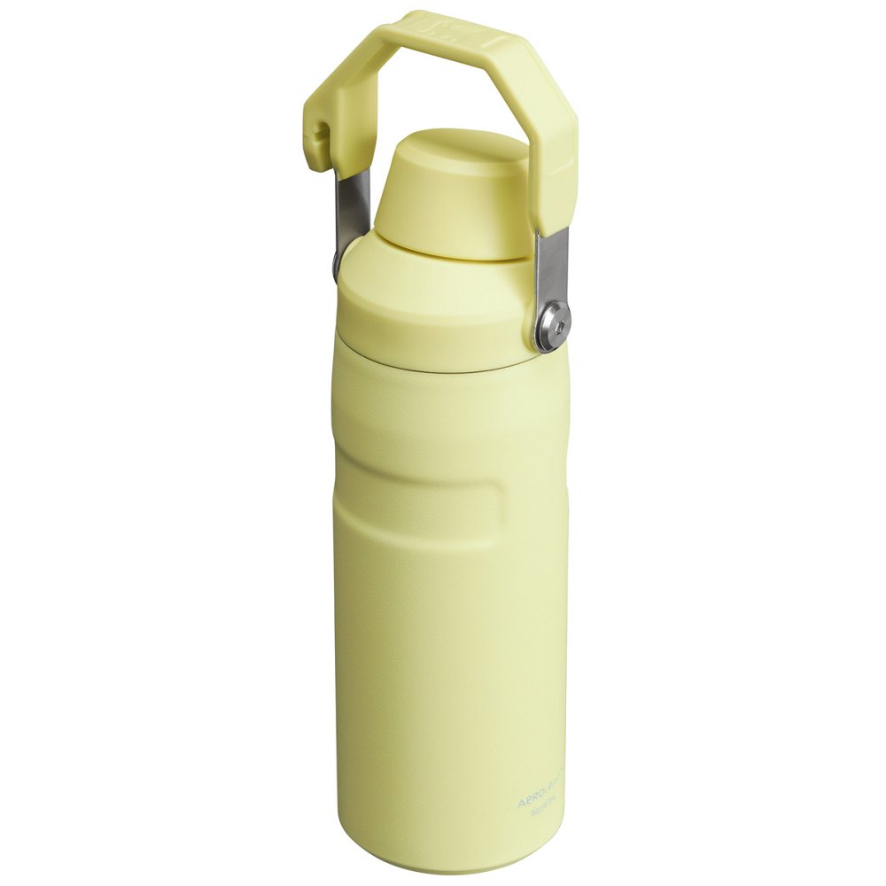 Stanley ICEFLOW™ BOTTLE WITH FAST FLOW LID | 16 OZ Pomelo | 95128-HKGU