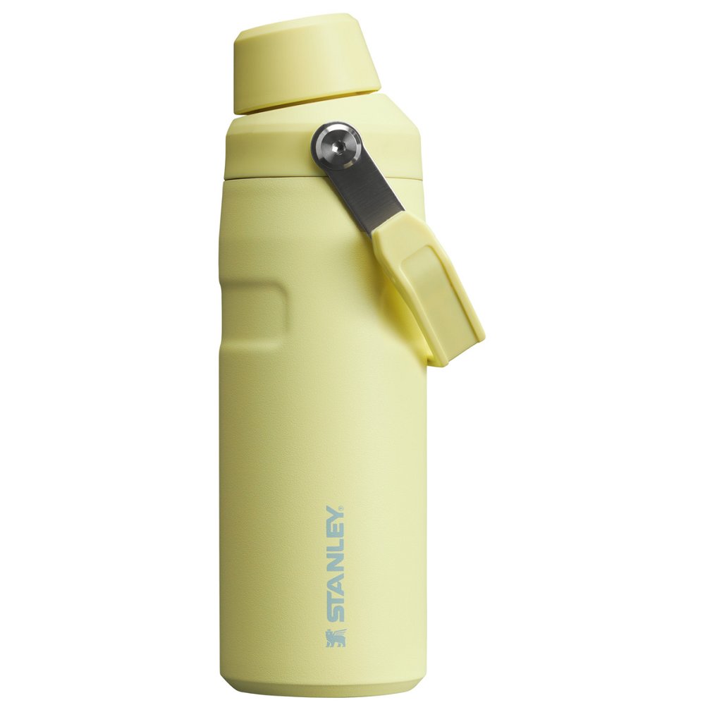 Stanley ICEFLOW™ BOTTLE WITH FAST FLOW LID | 16 OZ Pomelo | 95128-HKGU