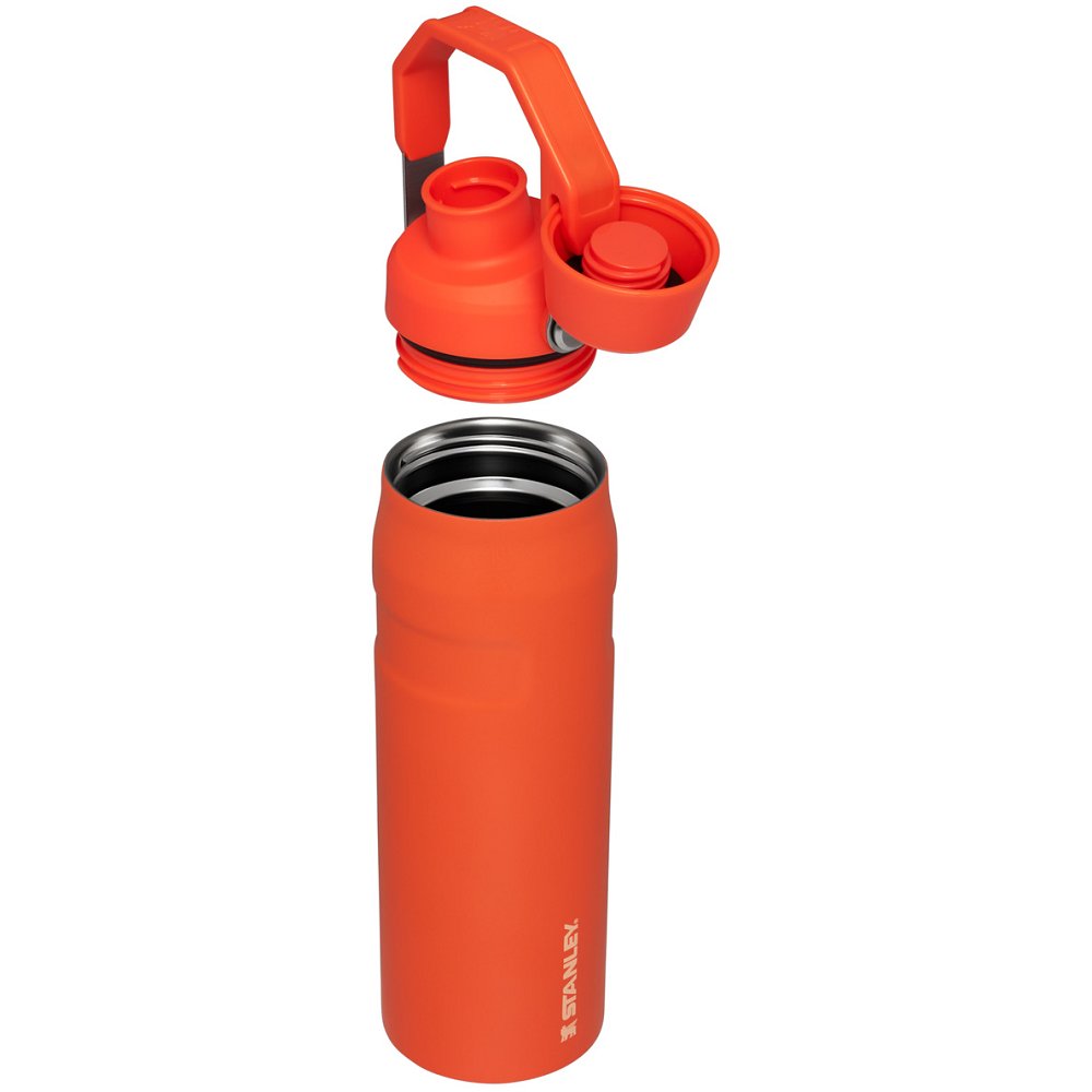 Stanley ICEFLOW™ BOTTLE WITH FAST FLOW LID | 16 OZ Tigerlily Plum | 53976-BPDG