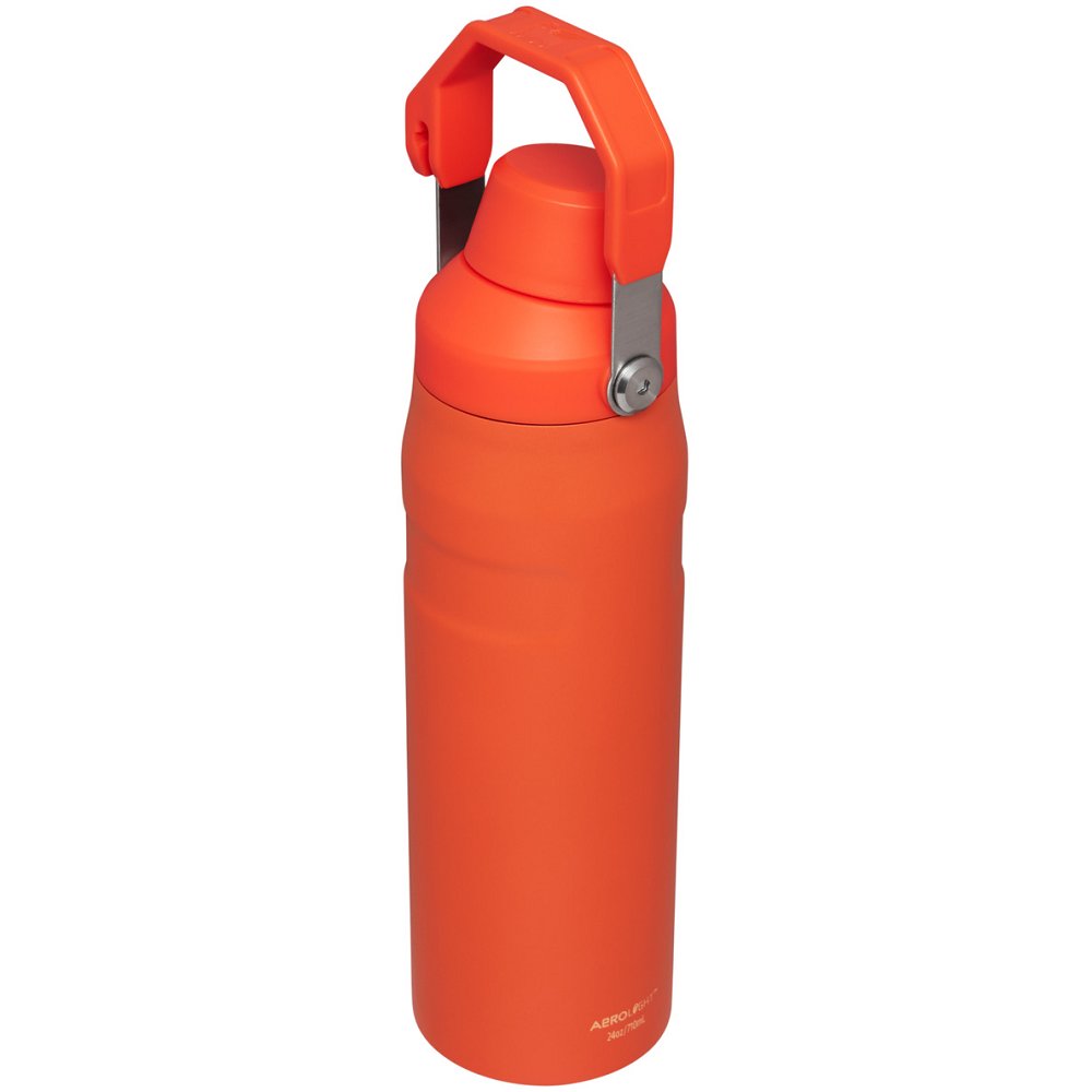 Stanley ICEFLOW™ BOTTLE WITH FAST FLOW LID | 16 OZ Tigerlily Plum | 53976-BPDG