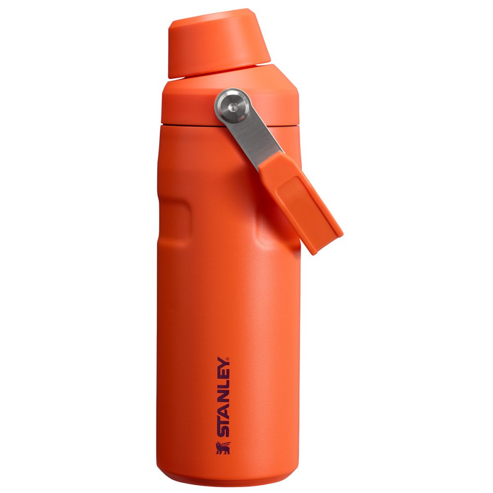 Stanley ICEFLOW™ BOTTLE WITH FAST FLOW LID | 16 OZ Tigerlily Plum | 53976-BPDG