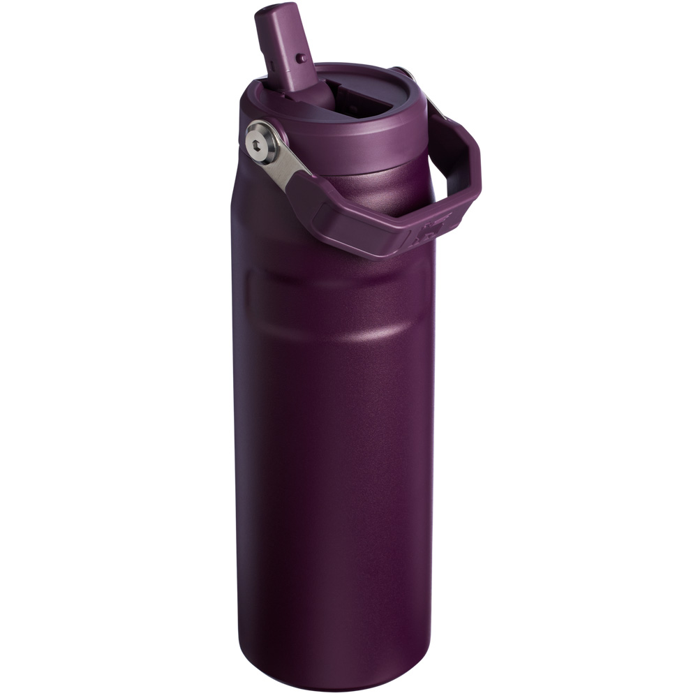 Stanley THE ICEFLOW™ BOTTLE WITH FLIP STRAW LID | 24 OZ Plum | 49016-UMWQ