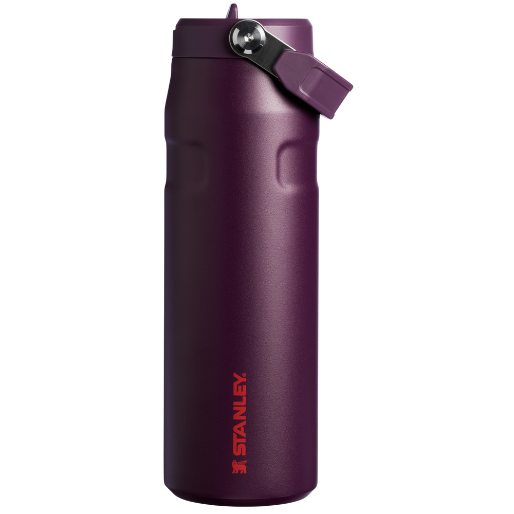 Stanley THE ICEFLOW™ BOTTLE WITH FLIP STRAW LID | 24 OZ Plum | 49016-UMWQ