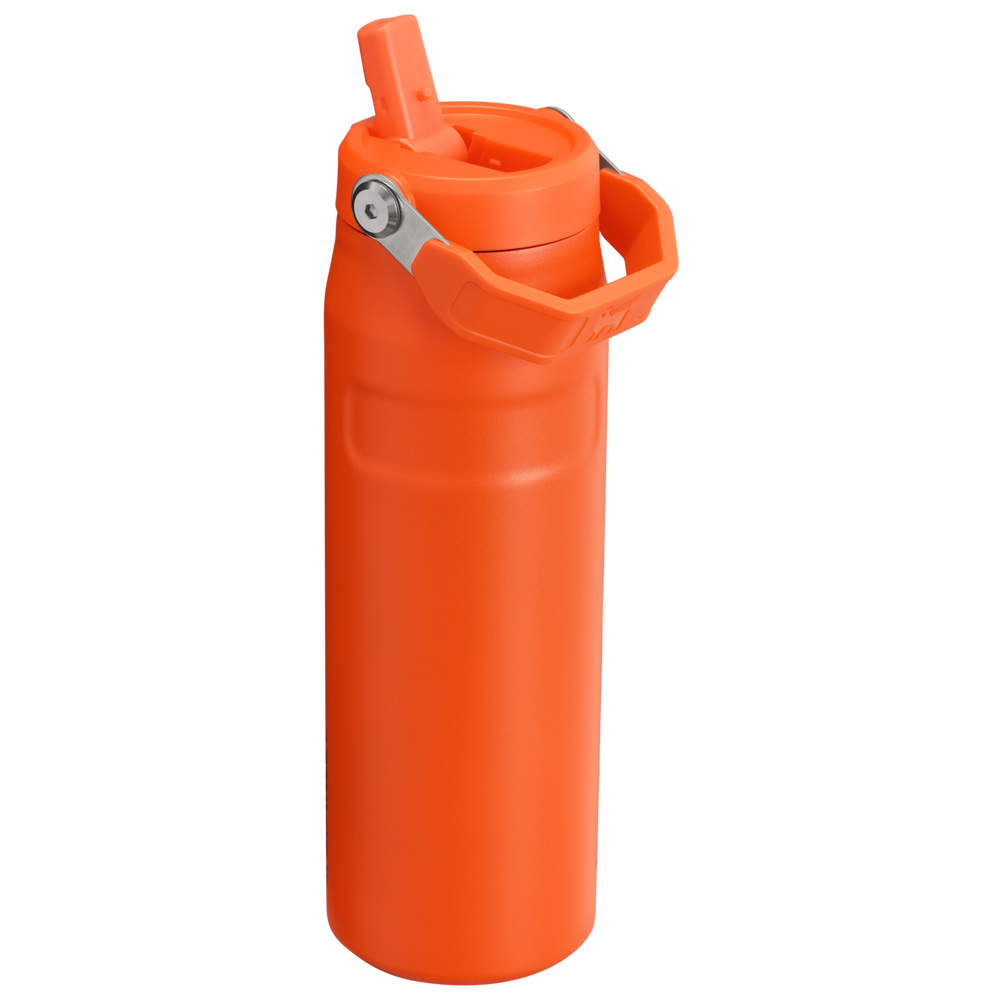 Stanley THE ICEFLOW™ BOTTLE WITH FLIP STRAW LID | 24 OZ Tigerlily Plum | 78051-QFMP