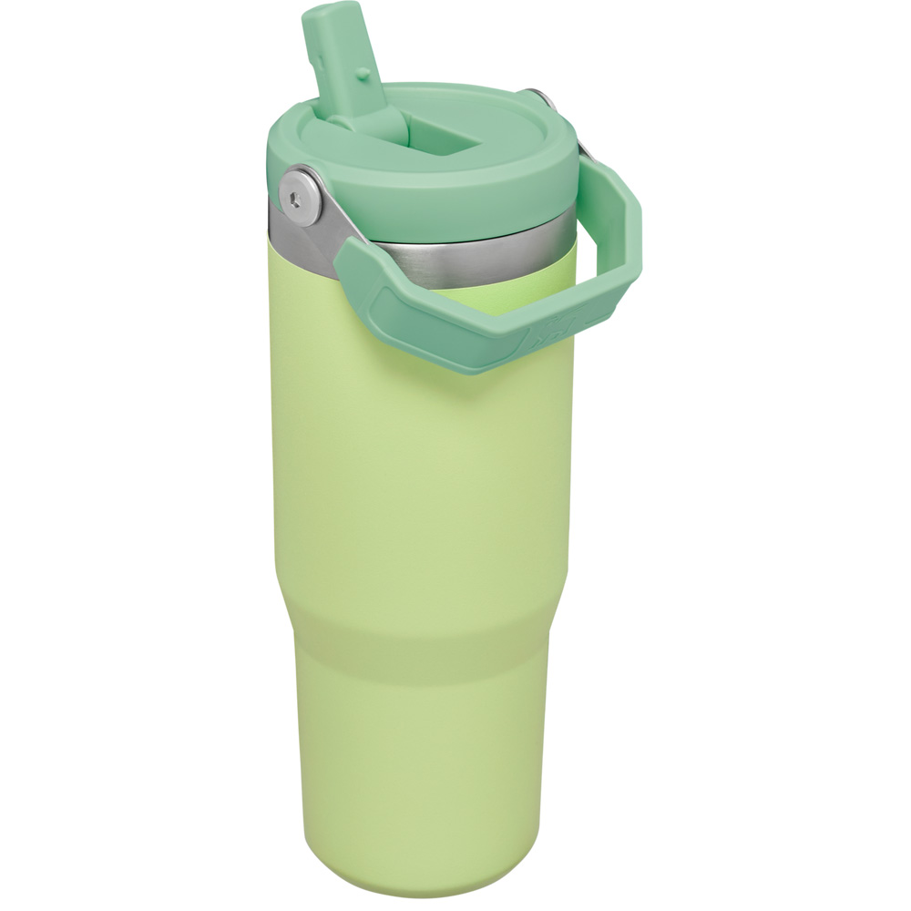 Stanley THE ICEFLOW™ FLIP STRAW TUMBLER | 30 OZ Citron | 04251-JNQS