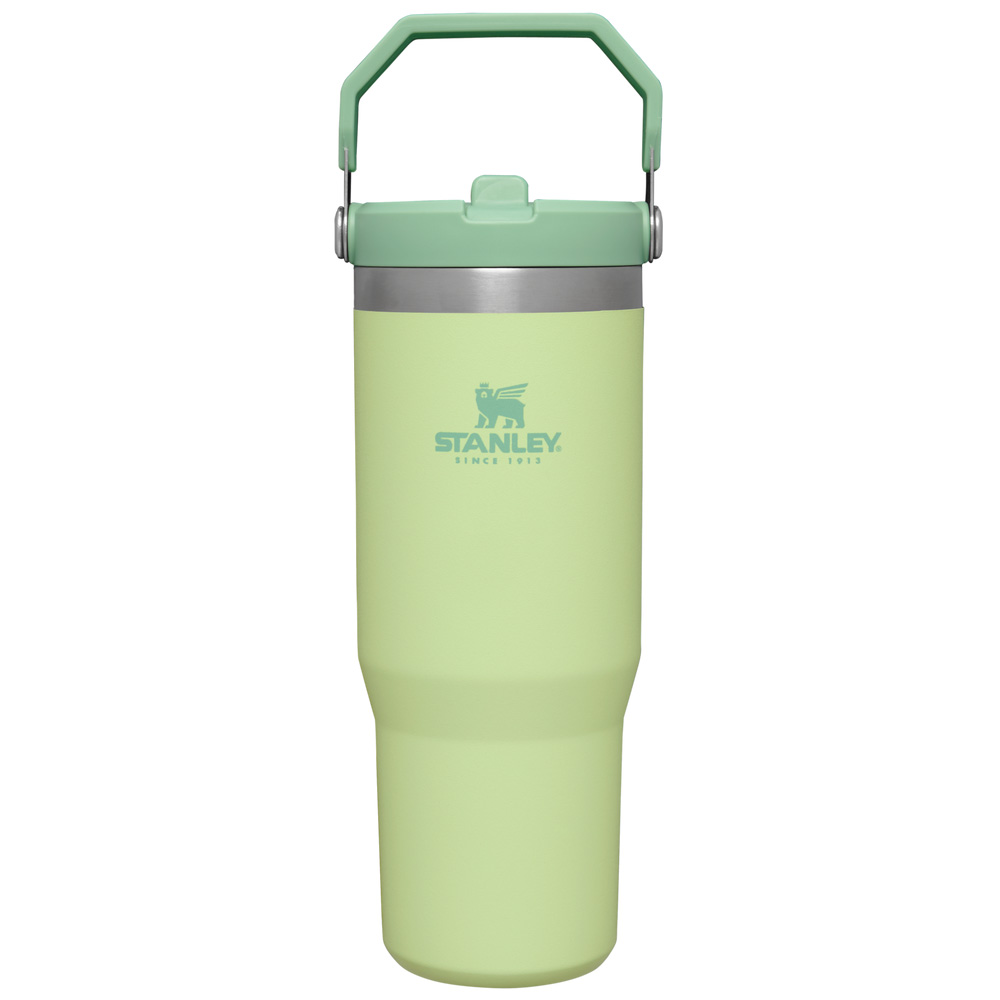 Stanley THE ICEFLOW™ FLIP STRAW TUMBLER | 30 OZ Citron | 04251-JNQS