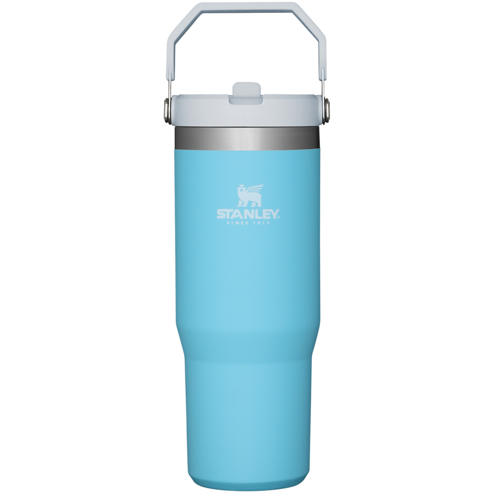 Stanley THE ICEFLOW™ FLIP STRAW TUMBLER | 30 OZ Pool | 45610-NELS