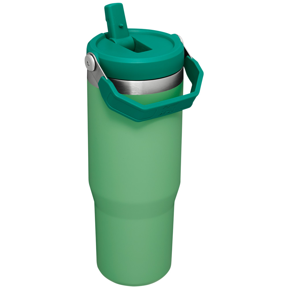 Stanley THE ICEFLOW™ FLIP STRAW TUMBLER | 30 OZ Jade | 85146-BSNY