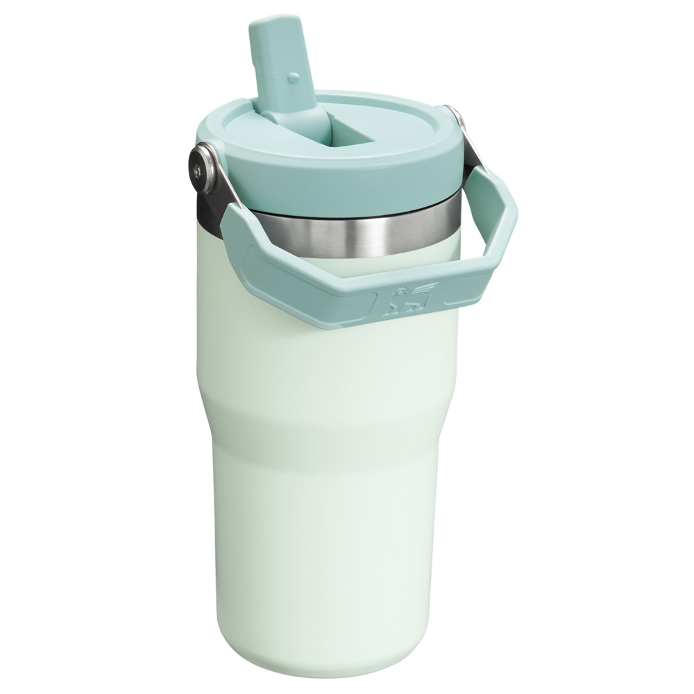 Stanley THE ICEFLOW™ FLIP STRAW TUMBLER | 20 OZ Mist | 79482-IRHV