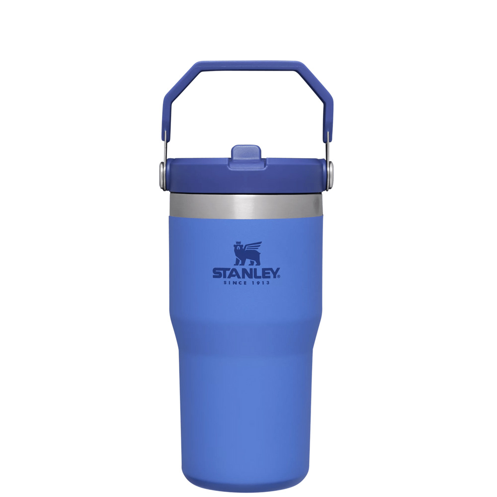 Stanley THE ICEFLOW™ FLIP STRAW TUMBLER | 20 OZ Iris | 17895-RTZG