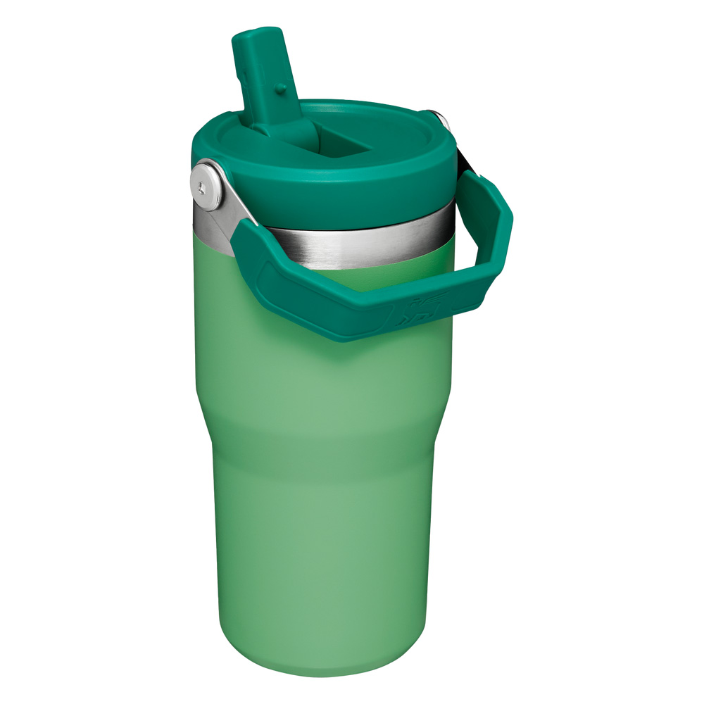 Stanley THE ICEFLOW™ FLIP STRAW TUMBLER | 20 OZ Jade | 83291-XESF