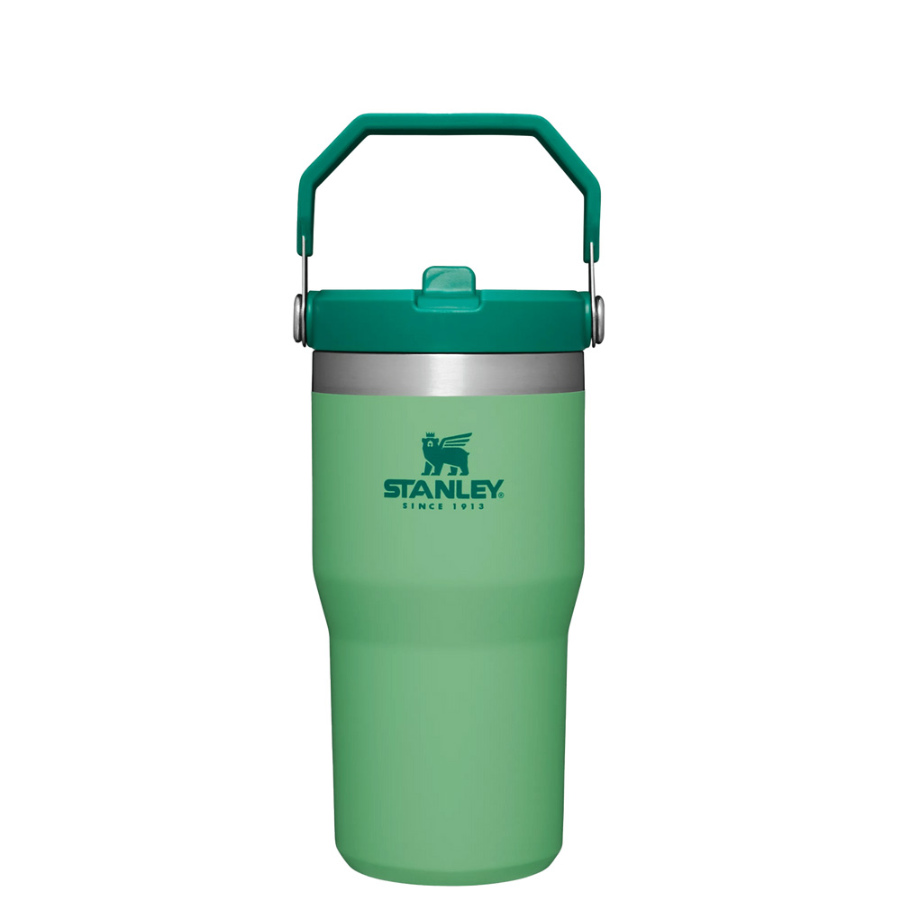 Stanley THE ICEFLOW™ FLIP STRAW TUMBLER | 20 OZ Jade | 83291-XESF