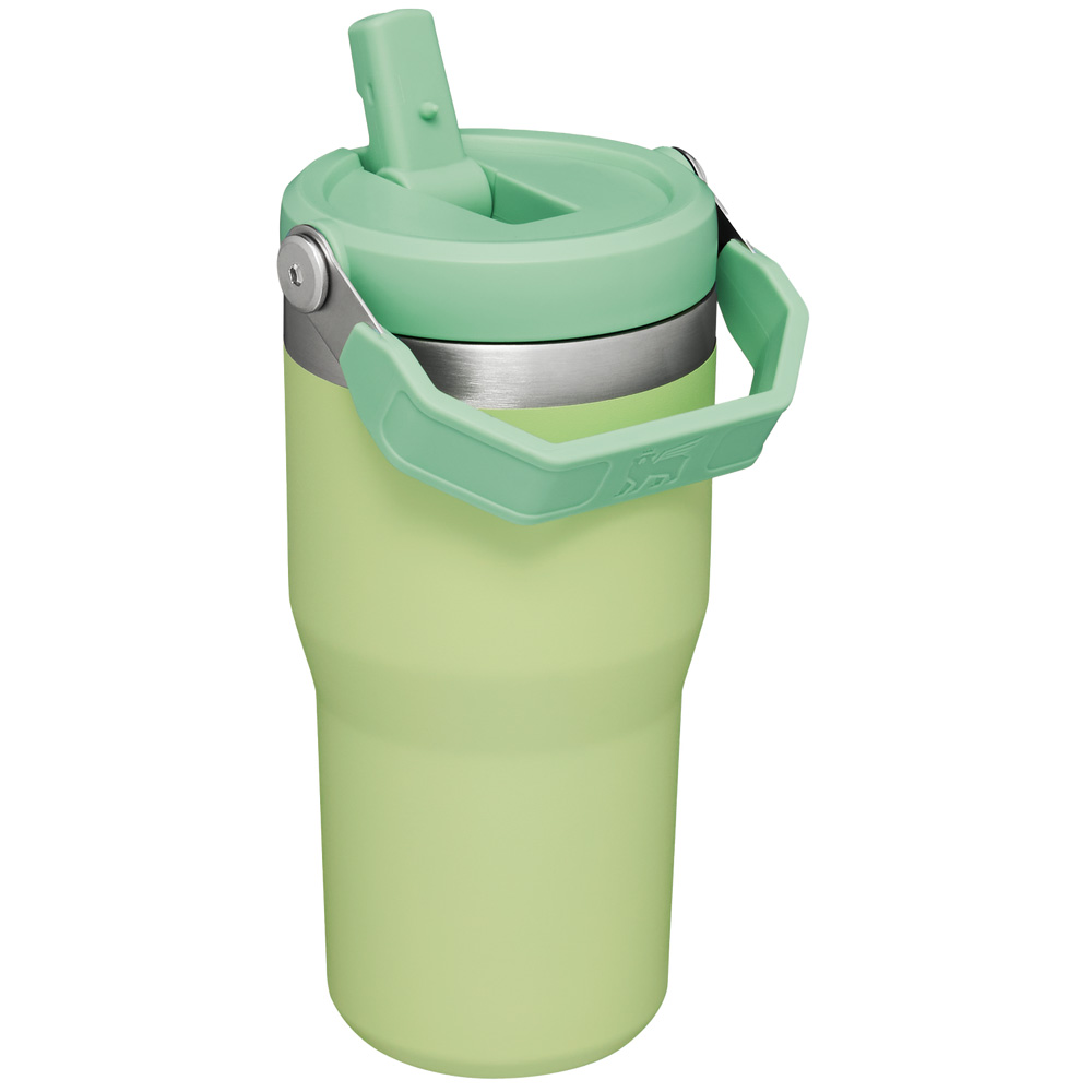 Stanley THE ICEFLOW™ FLIP STRAW TUMBLER | 20 OZ Citron | 79543-FCZE