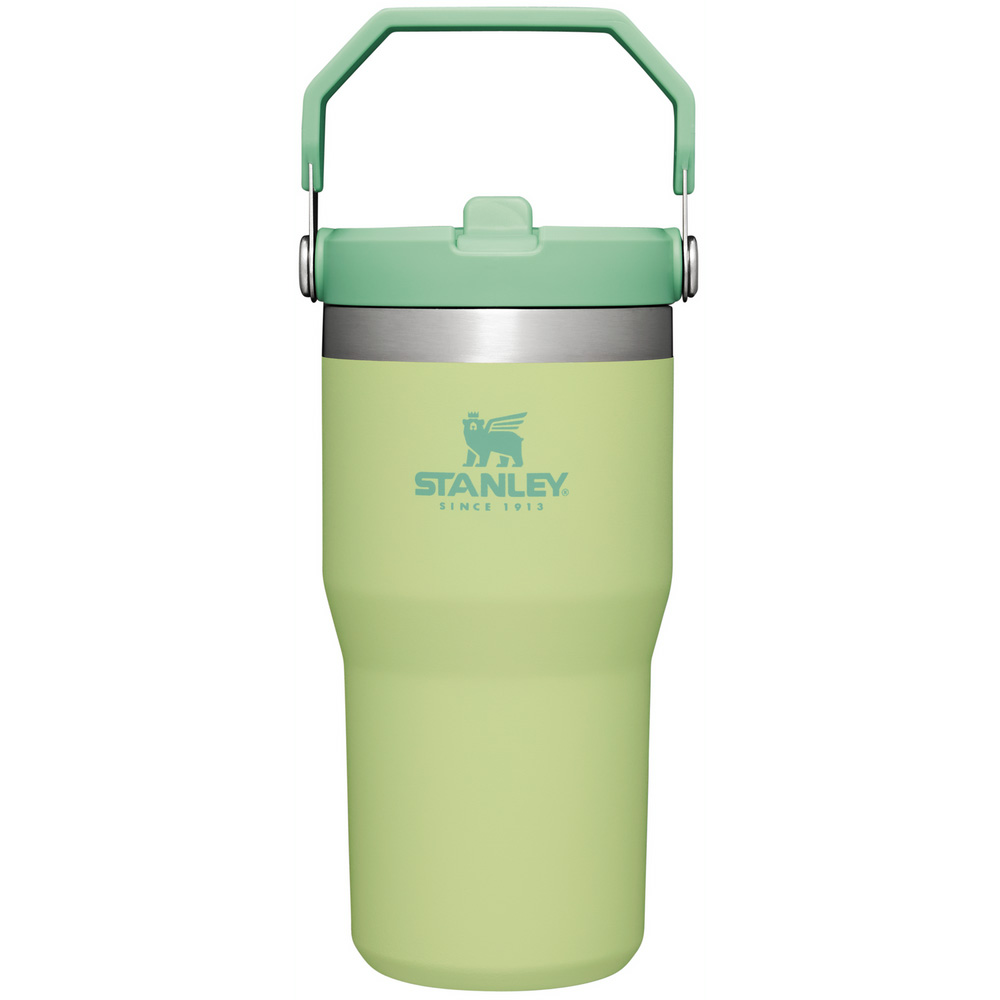 Stanley THE ICEFLOW™ FLIP STRAW TUMBLER | 20 OZ Citron | 79543-FCZE