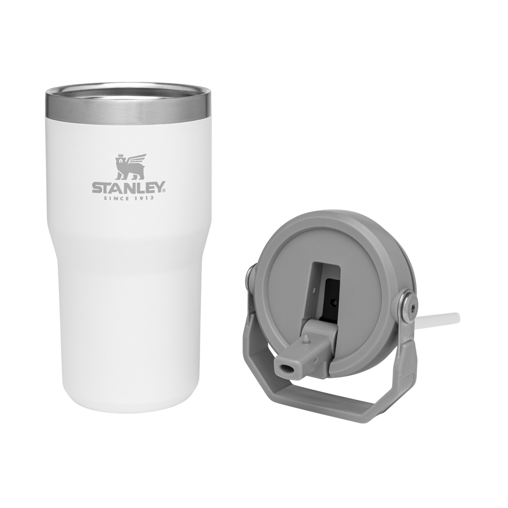 Stanley THE ICEFLOW™ FLIP STRAW TUMBLER | 20 OZ Polar | 02568-AECQ