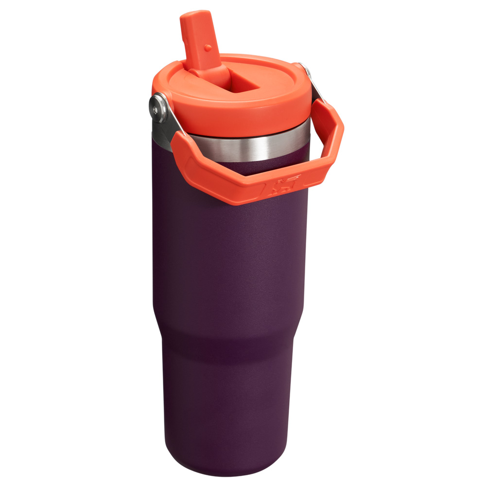 Stanley THE ICEFLOW™ FLIP STRAW TUMBLER | 30 OZ Plum | 16095-DZRM