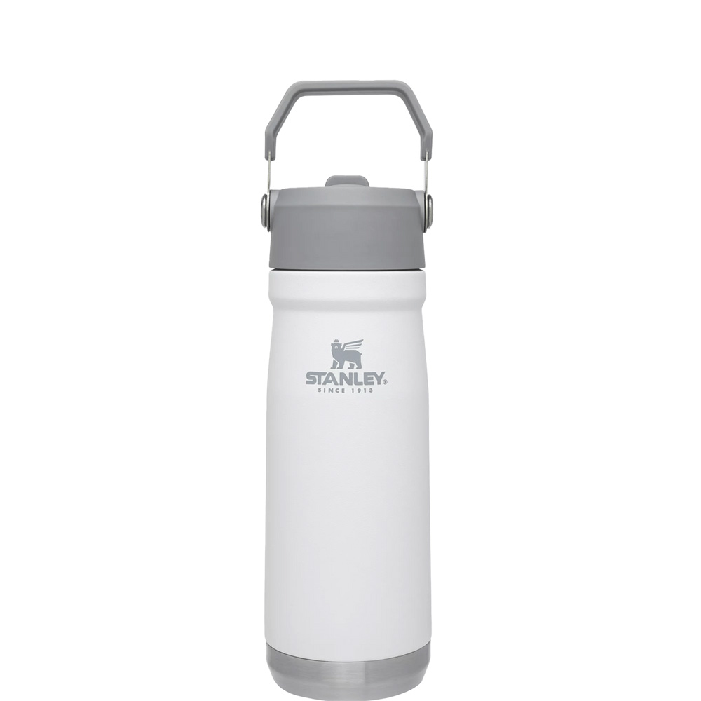 Stanley THE ICEFLOW™ FLIP STRAW WATER BOTTLE | 22 OZ Polar | 87350-BSQN