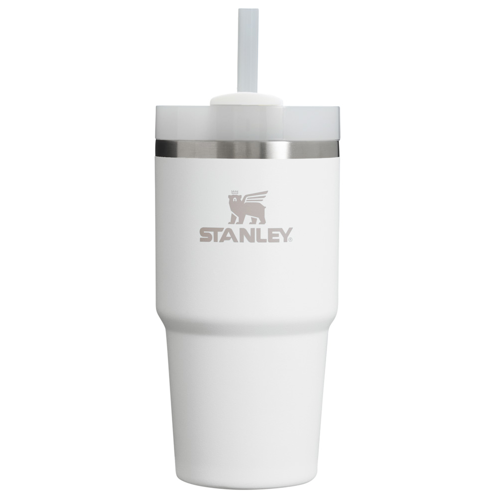 Stanley THE QUENCHER H2.0 FLOWSTATE™ TUMBLER | 20 OZ Frost | 30269-POHN