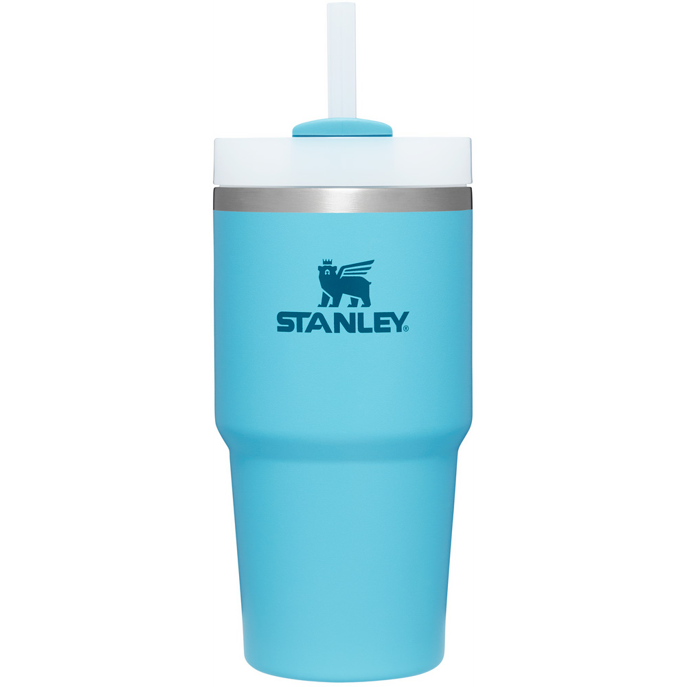 Stanley THE QUENCHER H2.0 FLOWSTATE™ TUMBLER | 20 OZ Pool | 95046-UEGI