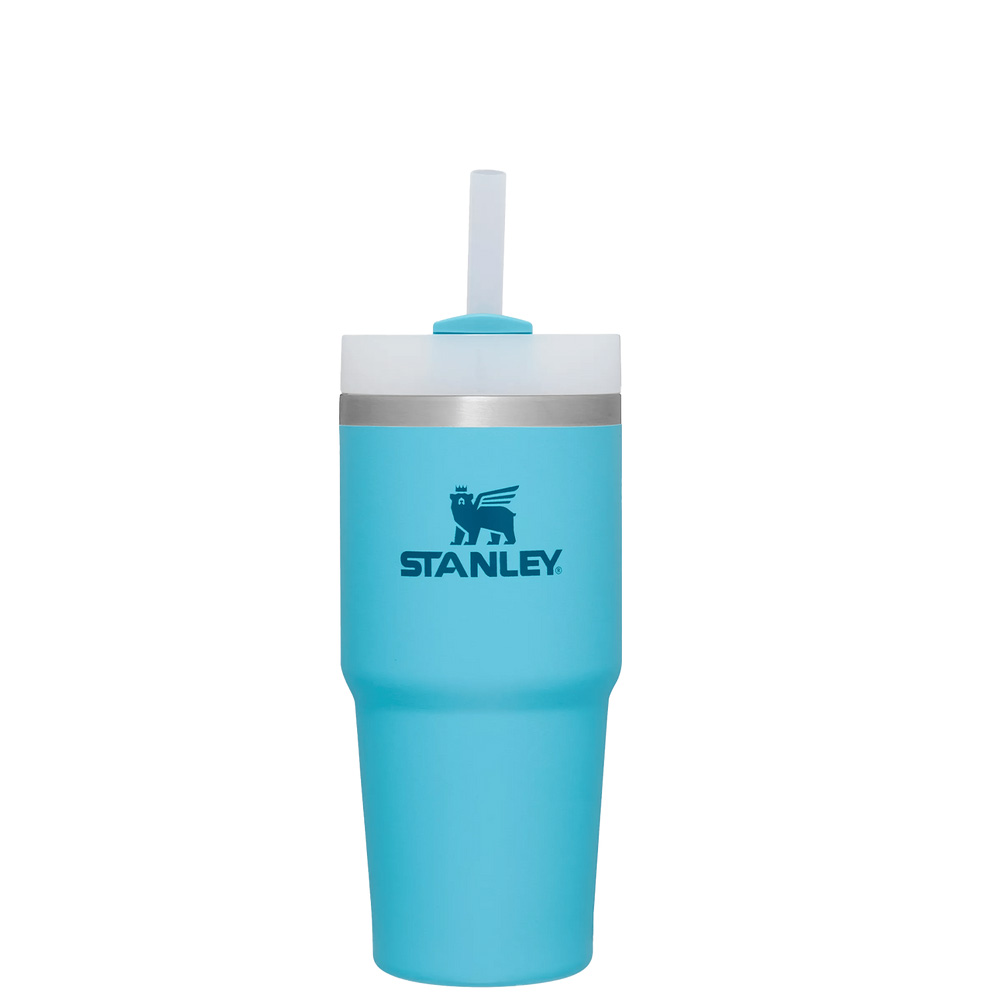 Stanley The Quencher H2.0 FlowState™ Tumbler | 14 OZ Pool | 06987-ZSMH