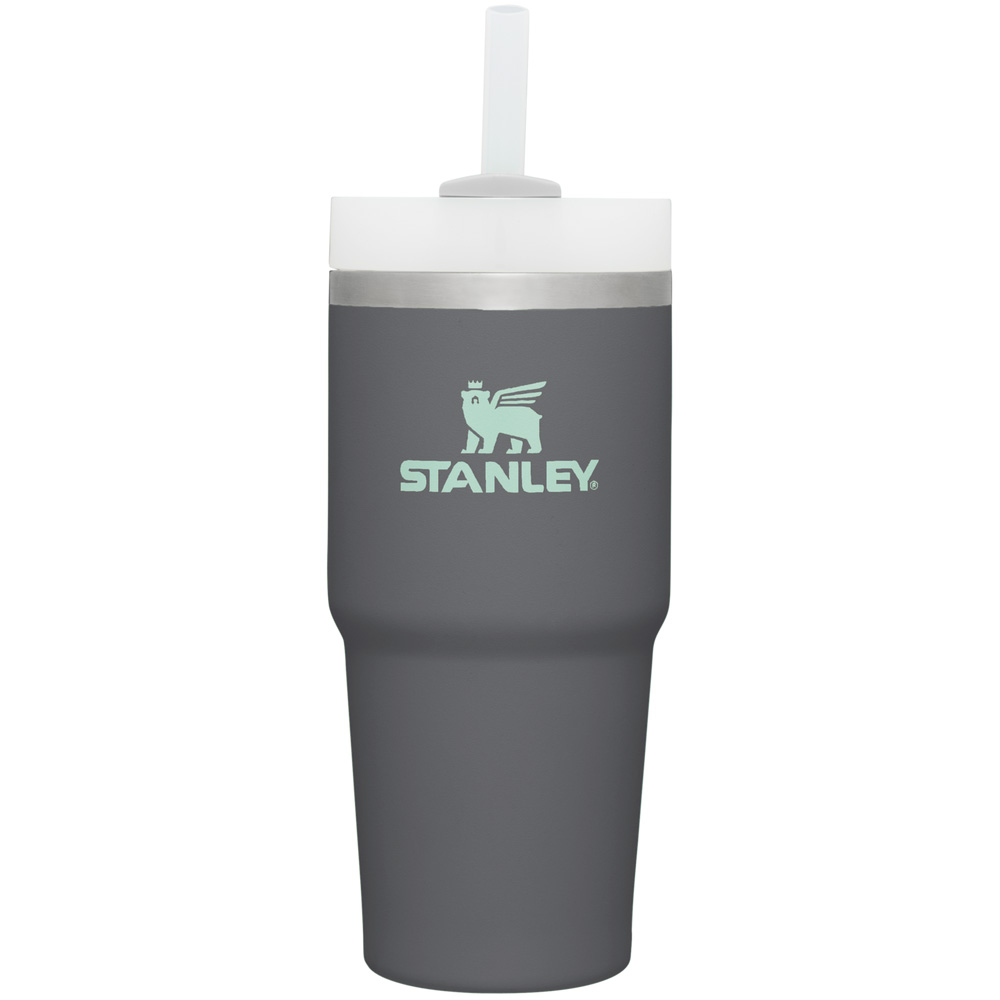 Stanley The Quencher H2.0 FlowState™ Tumbler | 14 OZ Charcoal | 26150-RWZA